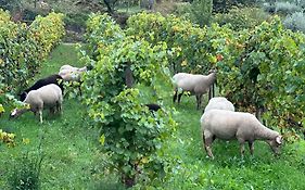 Quinta da Moita Agroturismo